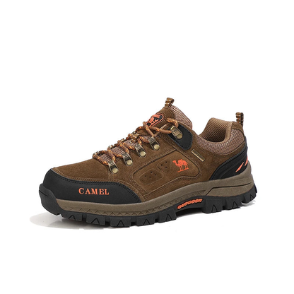 Heravis Hiking Shoes